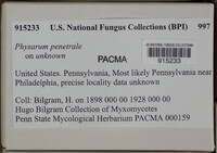 Image Associated With the Occurence